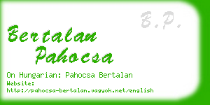 bertalan pahocsa business card